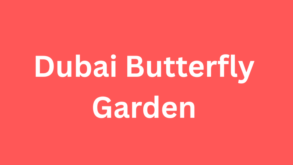 Dubai Butterfly Garden