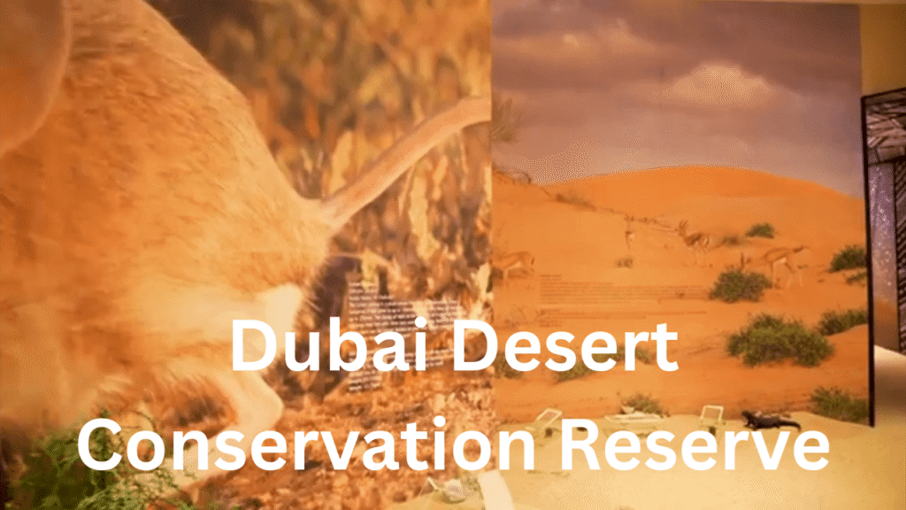 Dubai Desert Conservation Reserve